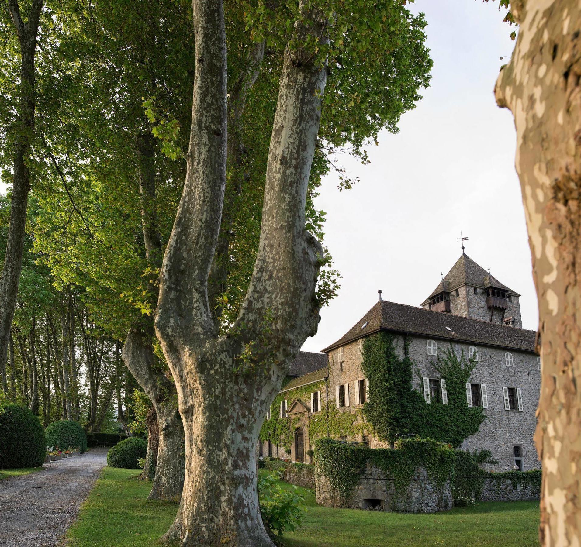 Chateau De Coudree - Les Collectionneurs Сье Экстерьер фото